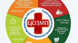 Информационно - методические материалы по теме: "Неделя здорового долголетия"